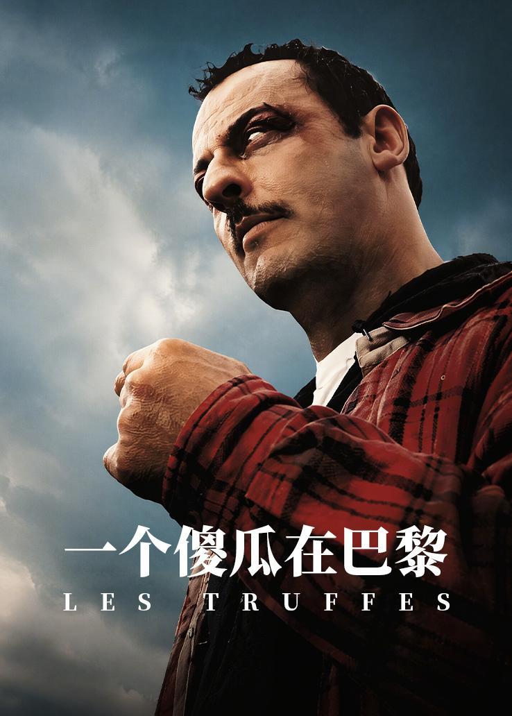 一个傻瓜在巴黎 海报