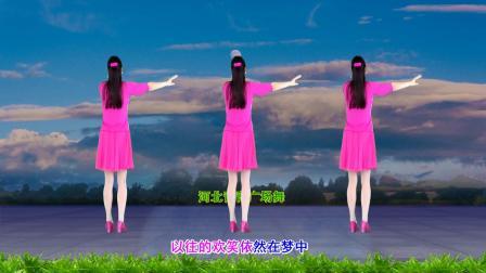 心醉DJ广场舞《故乡情》48步分解教学