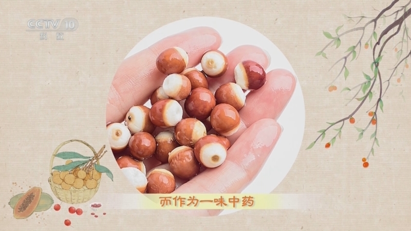 百家讲坛 《百家讲坛》 20240206 舌尖上的养生 6 健脾益肾话芡实