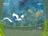地理中国 《地理中国》 20170307 春回大地（4）