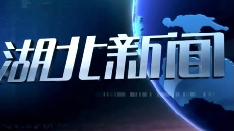 湖北新闻20210829