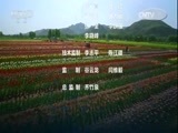 环球经济连线 《环球财经连线》 20170425