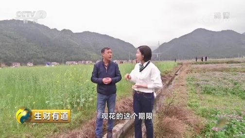 生财有道 《生财有道》 20190425 咱们家乡春天美 赏花采茶品春色 绿色发展看上饶