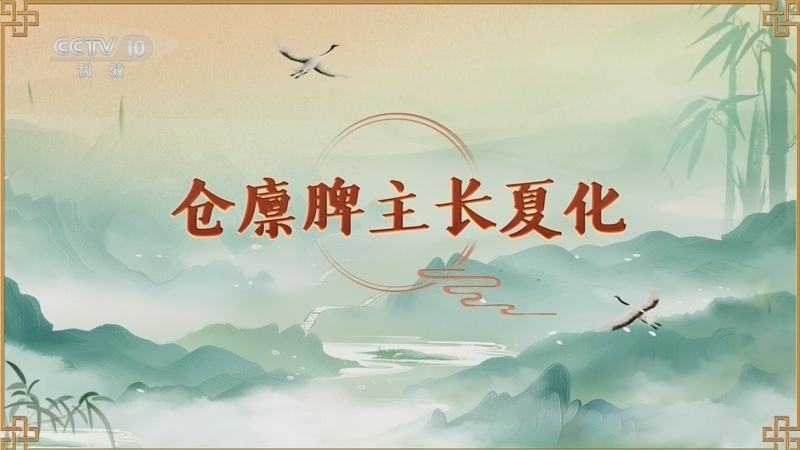 百家讲坛 《百家讲坛》 20260320 延年益寿话养生（第二部）6 仓廪脾主长夏化