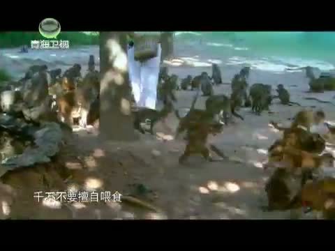 时尚旅游 《时尚旅游》 20131123 热情三亚——度假天堂