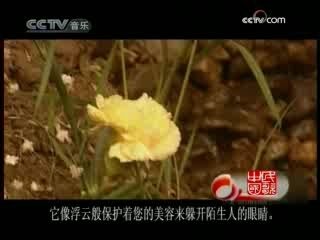 民歌&middot;中国 中国新疆维吾尔木卡姆艺术展播 一