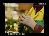 记住乡愁第三季 《人文地理》 20161203 魅力肯尼亚 第三集 城市的脉搏