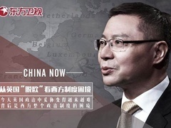 这就是中国 从英国“脱欧”看西方制度困境