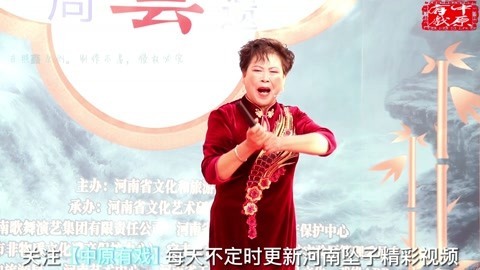 河南坠子《大明英雄传》