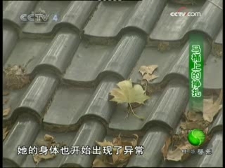 中华医药 马桶上的挣扎