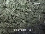 地理中国 《地理中国》 20160218 古城寻宝记