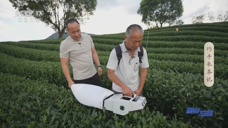 我爱发明 《我爱发明》 20220728 巧手采茶记