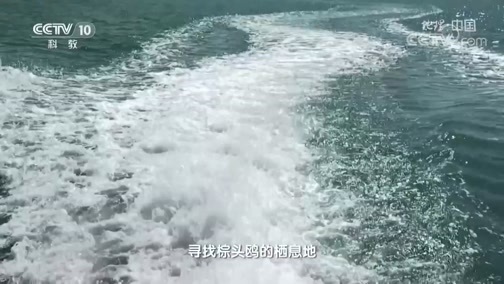 地理中国 《地理·中国》 20200213 大自然的奇景 4