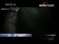 今日说法 今日说法 2008年 第201期