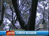 12点报道 《12点报道》 20161121