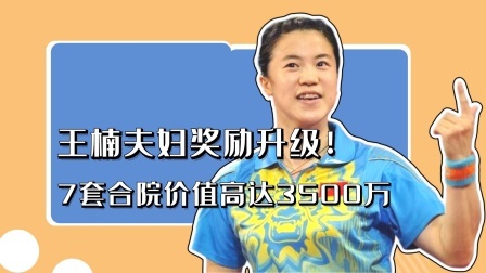 冠军名人录 王楠重金奖励国乒队！3500万元7套合院