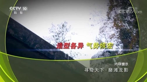 地理中国 《地理中国》 20180901 寻奇天下·磨滩龙影