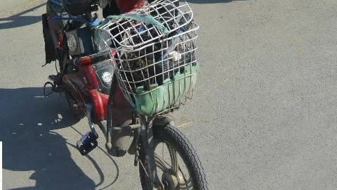 城市直通车 撞人逃逸躲监控朋友圈里漏行踪