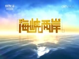 海峡两岸 《海峡两岸》 20170105