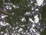 走近科学 《走近科学》 20140917 探秘墨脱