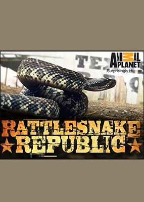 捕猎响尾蛇第三季