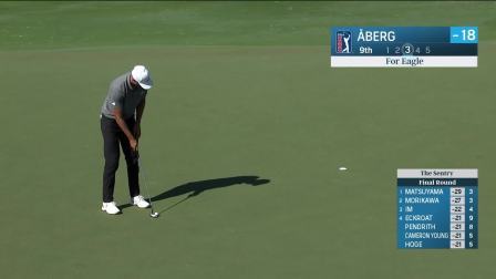 【球员集锦】阿伯格实力推杆完成老鹰球，最后一轮64杆完赛