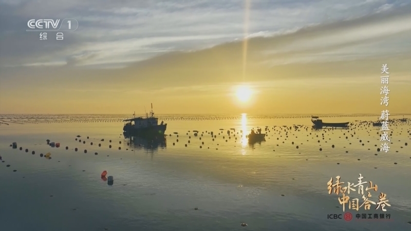 《绿水青山中国答卷》 美丽海湾 蔚蓝威海