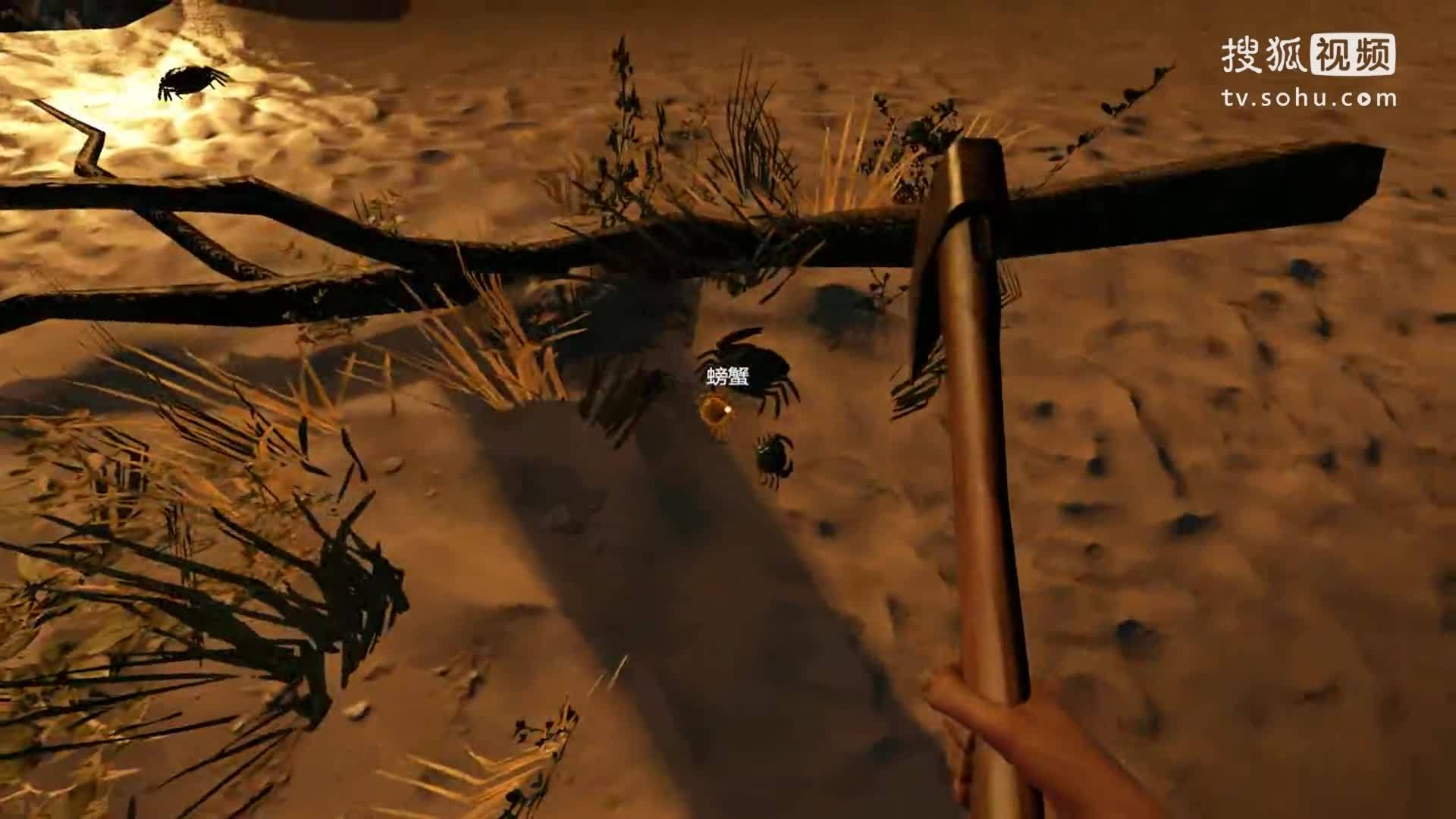 【炫罗】荒岛求生 EP5 与鲨鱼