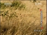 动物世界 《动物世界》 20120930