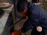 汉语桥 《宝庆尚品2015“汉语桥”我与中国第一次亲密接触》 20150718