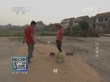 我爱发明 《我爱发明》 20140705 巧收粮食