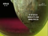 探索发现 《探索发现》 20180313 解码下邳古城（四）失落的繁华
