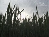 探索发现 《探索发现》 20180527 骊山下的考古（三）