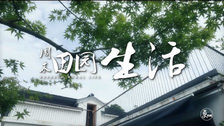 二更视频 企业高管回农村种地 小日子过得老板都羡慕 721
