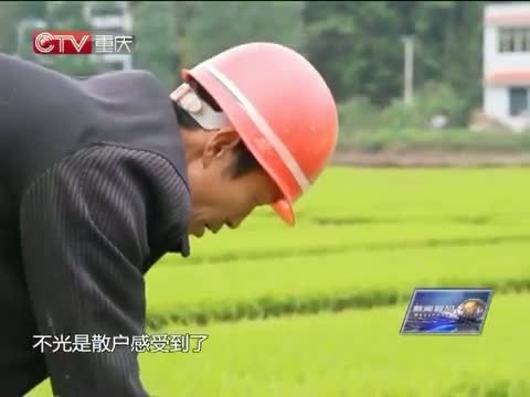 新闻解码 《新闻解码》 20140517 农业机械化：逼出来的变革