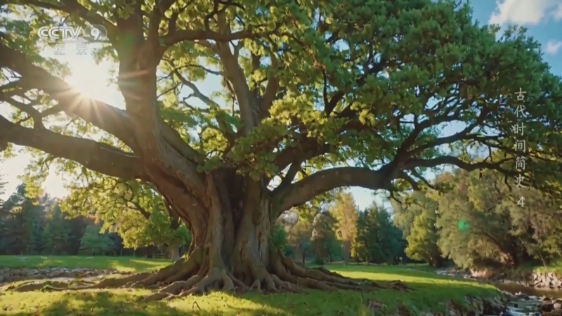 《古代时间简史》 第4集 “季”候风语