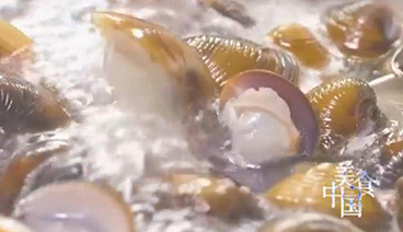 美食中国 《美食中国》 20200131 江孕海藏