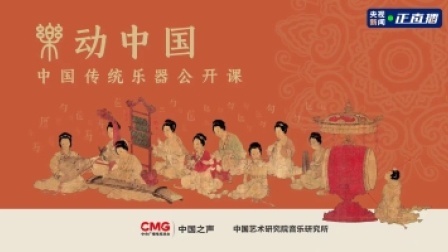 乐动中国：从“洋琴”到“扬琴”