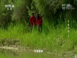 地理中国 《地理中国》 20170907 千泉神湖（下）