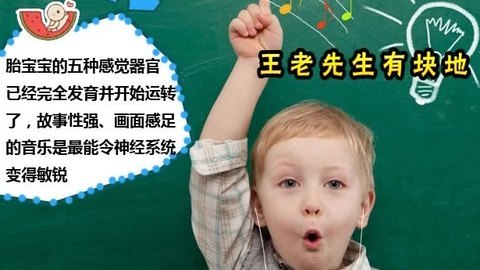 胎教音乐 第32周 王老先生有块地