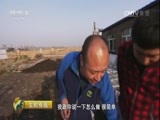生财有道 《生财有道》 20161104 咱们家乡有特产（秋收系列）——走进五常 稻花香里说丰年