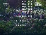 环球经济连线 《环球财经连线》 20160502