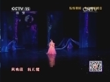 CCTV音乐厅 《CCTV音乐厅》 20140123 纵情歌唱-李玉刚演唱会