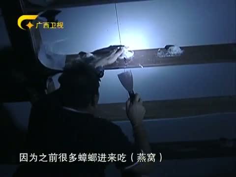 走南闯北广西人 《走南闯北广西人》 20140321 敢为人先——赵金土