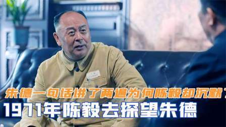 红墙往事 陈毅去探望朱德，朱德一句话讲了两遍，为何陈毅却沉默了