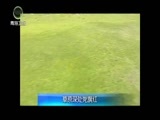 江源扫描 《江源扫描》 20160828 草原深处党旗红