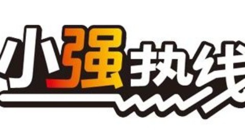 小强热线 小强热线20141129