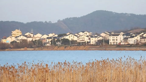 新闻手语20210220