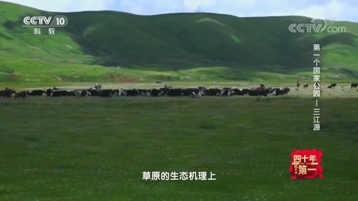 《四十年四十个第一》 20181229 第一个国家公园——三江源
