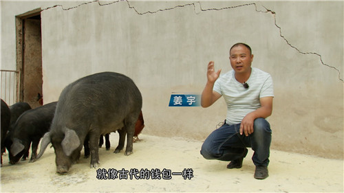 致富经 [致富经]被嘲笑的穷小伙 进山赚钱有奇招 20190329